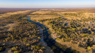 Machaba Kiri Camp Wildlife Sightings February 2026 Botswana Okavango Delta