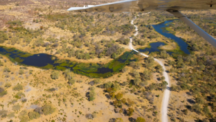 Kwai Og.jpg Kwai Og.jpg