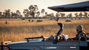 Machaba Safaris Botswana Okavango Delta Gomoti Plains The Safari Experience Machaba Safaris Botswana Okavango Delta Gomoti Plains The Safari Experience