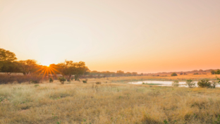 Zimbabwe Hwange Deteema Humbling Zimbabwe Thumbnail