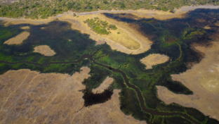 Machaba Camp Thumbnail.jpg Machaba Camp Thumbnail.jpg