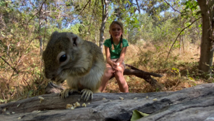 Machaba Botswana On Safari Nala Squirrel Thumbnail