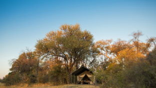 Machaba Safaris Botswana Okavango Delta Machaba Camp May Sightings Camp View Machaba Safaris Botswana Okavango Delta Machaba Camp May Sightings Camp View