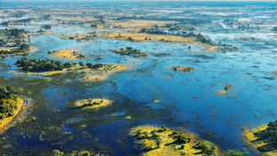 Machaba Camp   Botswana   Wildlife Stories   May 2022   CTA   Okavango Delta