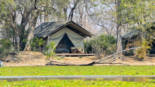 Machaba Ingwe Pan Review Tents Machaba Ingwe Pan Review Tents