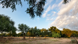 Zimbabwe Mana Pools Mana River Camp Land