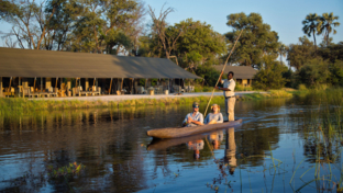 botswana-okavango-delta-gomoti-plains-mangos-favourite-blog-november-2019.jpg