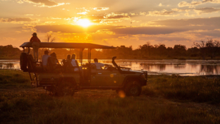Botswana Okavango Delta Machaba Camp Sightings July 2021 Gamedrive Sunset
