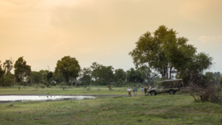 machaba-botswana-zimbabwe-ultimate-safari-destination-banner.jpeg