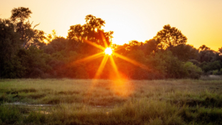 Beautiful morning sunrise outside Machaba Camp Beautiful morning sunrise outside Machaba Camp