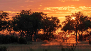 Botswana Kiri Camp Sunset