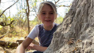 On Safari Nala Episode 17 Baboon Spider Thumbnail On Safari Nala Episode 17 Baboon Spider Thumbnail