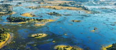 Machaba Gomoti Plains Community Feature Okavango Delta Machaba Gomoti Plains Community Feature Okavango Delta