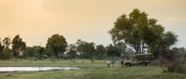 Machaba Botswana Okavango Delta Gomoti Plains Leopard Sightings July 2020 Cta Botswana Machaba Botswana Okavango Delta Gomoti Plains Leopard Sightings July 2020 Cta Botswana