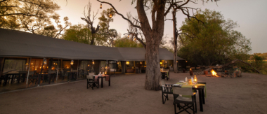 Botswana Okavango Delta Machaba Camp Sightings June 2021 Lodge Cta Botswana Okavango Delta Machaba Camp Sightings June 2021 Lodge Cta