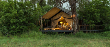 Botswana Gomoti Plains Tent Botswana Gomoti Plains Tent