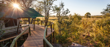 Zimbabwe Hwange Deteema Springs Sightings June 2021 Cta Room Zimbabwe Hwange Deteema Springs Sightings June 2021 Cta Room