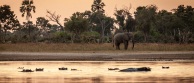 Machaba South African Season Sunset Sundowner Gomoti Machaba South African Season Sunset Sundowner Gomoti