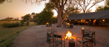 Botswana Okavango Delta Machaba Camp Sightings April 2021 Cta 3 Botswana Okavango Delta Machaba Camp Sightings April 2021 Cta 3