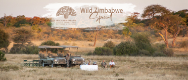 Machaba Zimbabwe Hwange Verneys Camp Sighting February 2020 Cta Wild Zimbabwe Special Machaba Zimbabwe Hwange Verneys Camp Sighting February 2020 Cta Wild Zimbabwe Special
