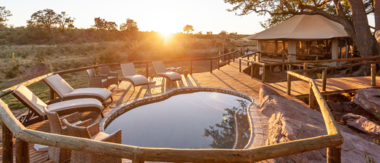 Zimbabwe Hwange Deteema Springs Sightings October 2021 Lodge Susnet Zimbabwe Hwange Deteema Springs Sightings October 2021 Lodge Susnet