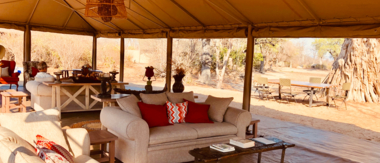 Zimbabwe Mana Pools Ingwe Pan September 2020 Camp Cta Zimbabwe Mana Pools Ingwe Pan September 2020 Camp Cta