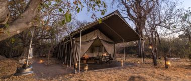 Botswana Okavango Delta Machaba Camp Sightings July 2021 Machabacamp Botswana Okavango Delta Machaba Camp Sightings July 2021 Machabacamp
