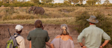 Machaba Zimbabwe Hwange Deteema Camp Tourists Sightings 2019 Machaba Zimbabwe Hwange Deteema Camp Tourists Sightings 2019