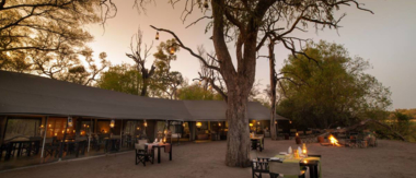 Machaba Botswana Okavango Delta November Sightings 2020 Cta Camp Machaba Botswana Okavango Delta November Sightings 2020 Cta Camp