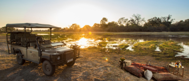 Zimbabwe Mana Pools Ingwe Pan August Sightings 2021 CTA Other Safari Packages Zimbabwe Mana Pools Ingwe Pan August Sightings 2021 CTA Other Safari Packages