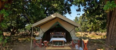 Zimbabwe Mana Pools Mana River Camp Zimbabwe Mana Pools Mana River Camp