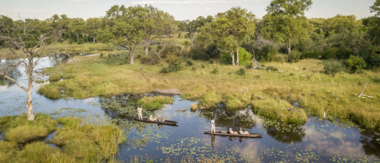 Machaba Botswana Okavango Delta Nala Safari Machaba Botswana Okavango Delta Nala Safari