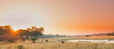 Zimbabwe Mana Pools Ingwe Pan August Sightings 2021 CTA Destination Zimbabwe Zimbabwe Mana Pools Ingwe Pan August Sightings 2021 CTA Destination Zimbabwe
