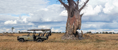 Botswana Kiri Camp Sightings On Safari Botswana Kiri Camp Sightings On Safari