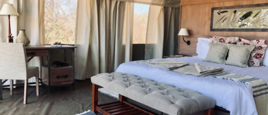 Zimbabwe Mana Pools Ingwe Pan August 2020 Cta Ingwe Pan Zimbabwe Mana Pools Ingwe Pan August 2020 Cta Ingwe Pan