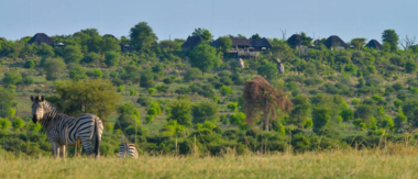 Machaba Botswana Chobe Ngoma Sighting June 2020 Cta Sightings Machaba Botswana Chobe Ngoma Sighting June 2020 Cta Sightings