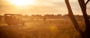 Machaba Botswana Okavango Delta Machaba Camp Sightings March 2020 Sunset Safari Machaba Botswana Okavango Delta Machaba Camp Sightings March 2020 Sunset Safari