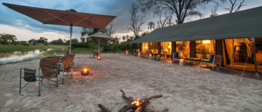 Botswana Okavango Gomoti Sightings July 2021 Gomoti Camp Botswana Okavango Gomoti Sightings July 2021 Gomoti Camp