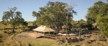 Local Zimbabwe Resident Special Deteema Springs Cta Local Zimbabwe Resident Special Deteema Springs Cta