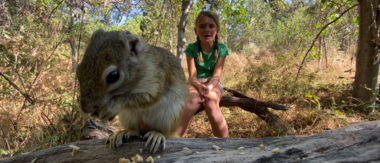 On Safari Nala Episode 25 Cta Squirrel On Safari Nala Episode 25 Cta Squirrel