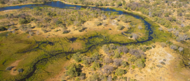 Machaba Botswana Okavango Delta Machaba Camp Sightings February 2020 Cta Explore Botswana Machaba Botswana Okavango Delta Machaba Camp Sightings February 2020 Cta Explore Botswana
