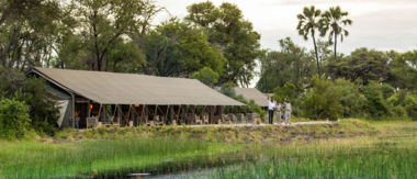 Botswana   Okavango Delta   Gomoti Camp   Oct 2021 Wildlife Sightings   CTA Gomoti Camp Botswana   Okavango Delta   Gomoti Camp   Oct 2021 Wildlife Sightings   CTA Gomoti Camp