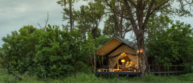Botswana Okavango Delta Gomoti Camp Sightings May 2021 Gomoti Camps Botswana Okavango Delta Gomoti Camp Sightings May 2021 Gomoti Camps