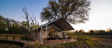Botswana Okavango Delta Machaba Camp Wildlife Sightings Little Machaba Botswana Okavango Delta Machaba Camp Wildlife Sightings Little Machaba