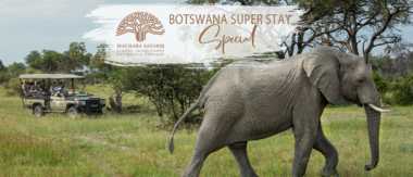 Machaba Botswana Okavango Delta Gomoti Plains Sightings February 2020 Cta Botswana Special Machaba Botswana Okavango Delta Gomoti Plains Sightings February 2020 Cta Botswana Special