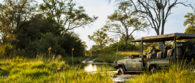 Machaba About Us Cta Safari Experience Machaba About Us Cta Safari Experience