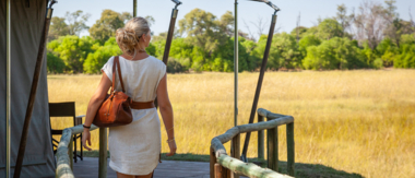 Botswana Machaba Camp Sightings September 2021 Machaba Camp Botswana Machaba Camp Sightings September 2021 Machaba Camp