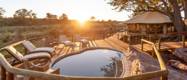 Machaba Zimbabwe Deteema Springs Sighting February 2020 Cta Deteema Machaba Zimbabwe Deteema Springs Sighting February 2020 Cta Deteema