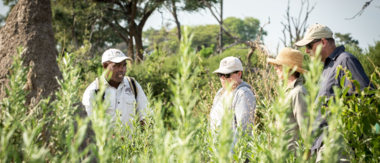Botswana Machaba Walking Safaris Botswana Machaba Walking Safaris