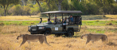 Machaba Web Dining Cta Safari Experience Machaba Web Dining Cta Safari Experience